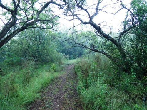 Meerkatplaats Guesthouse And B&B