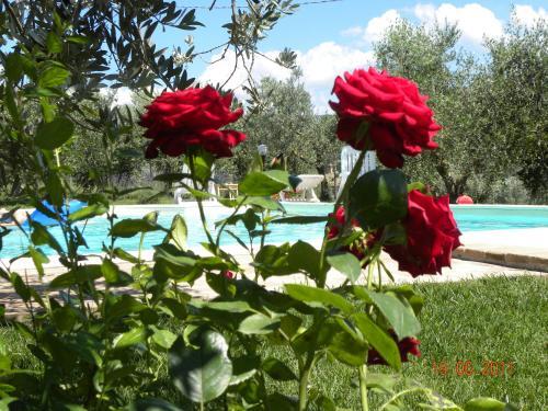 Apartamento Casa Vacanze La Ginestra