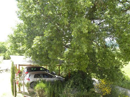 Apartamento Casa Vacanze La Ginestra