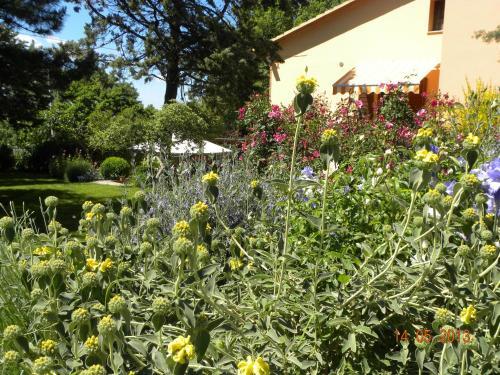 Apartamento Casa Vacanze La Ginestra