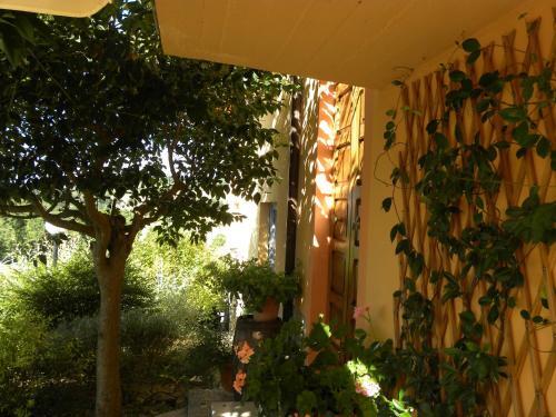 Apartamento Casa Vacanze La Ginestra