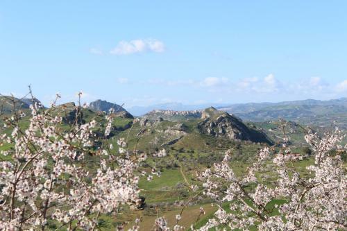 Agroturismo Agriturismo Feudo Muxarello