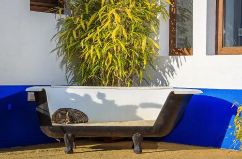 Agroturismo Corte Nova Da Preguica