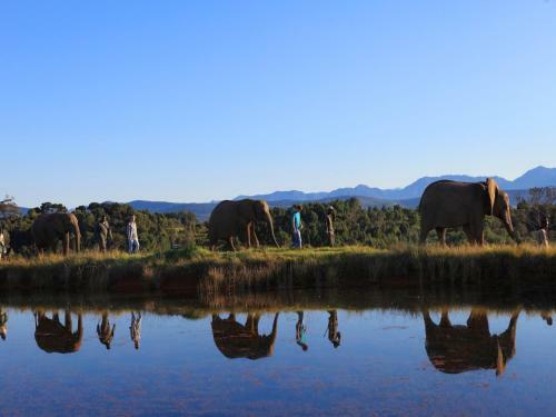 Agroturismo Lily Pond Country Lodge