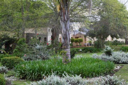 Agroturismo Lily Pond Country Lodge