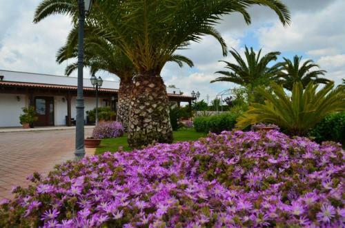 Agroturismo Relais La Giara
