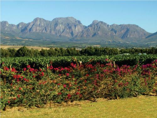 Agroturismo Nwanedi Country Manor