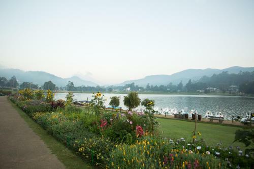 Bed & Breakfast Heaven Seven Hotels