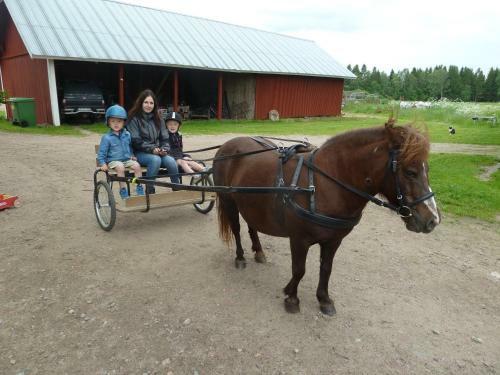 Agroturismo H�ryda G�rd