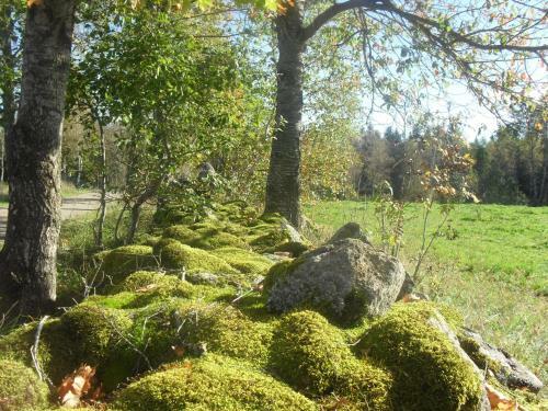 Agroturismo H�ryda G�rd
