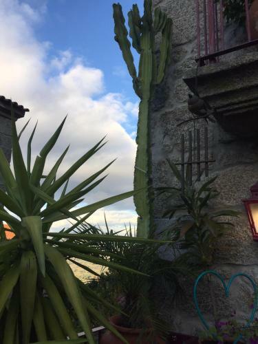 Agroturismo Casa De David