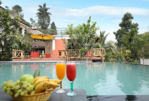 Hotel Olives