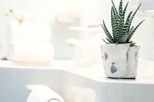 Hotel Simpaty