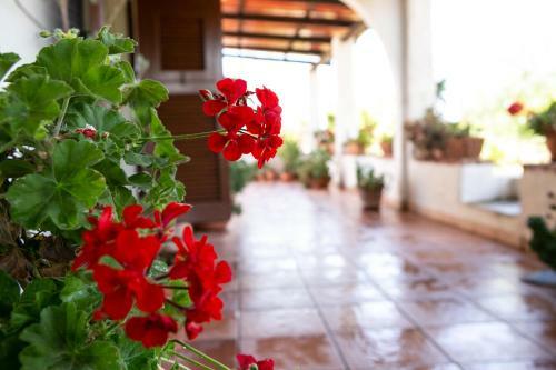 Apartamento Residenza Il Normanno