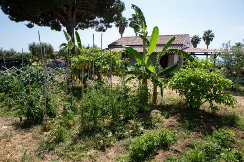 Apartamento Residenza Il Normanno