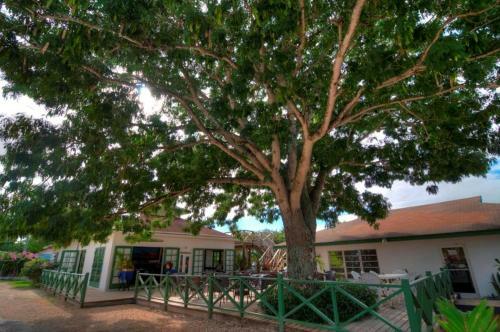 Lodge Villa Allamanda