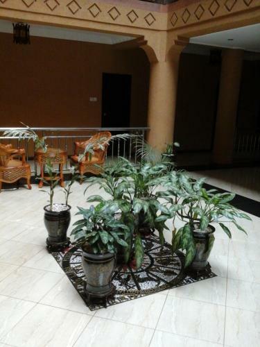 Biraj International Hotel