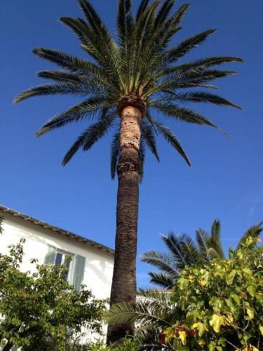 Hotel Le Beau Site