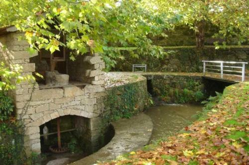 Casa De Barreiros Cam�lias De Basto