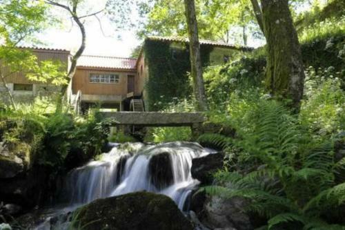 Casa De Barreiros Cam�lias De Basto