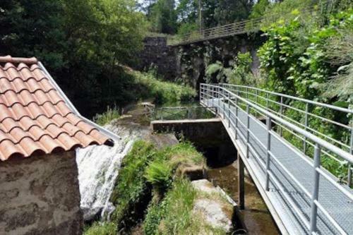 Casa De Barreiros Cam�lias De Basto