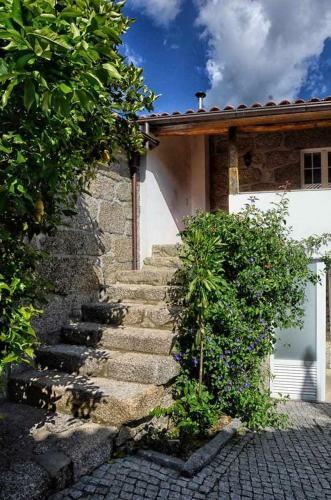 Casa De Barreiros Cam�lias De Basto