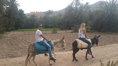 Oasis De Tiout