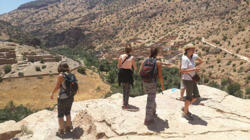 Oasis De Tiout
