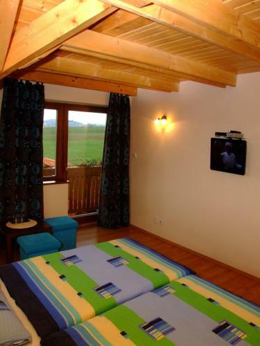 Hostal Penzion �smev