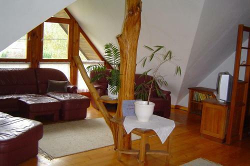 Apartamento S�rk�ny Bio Panzi�