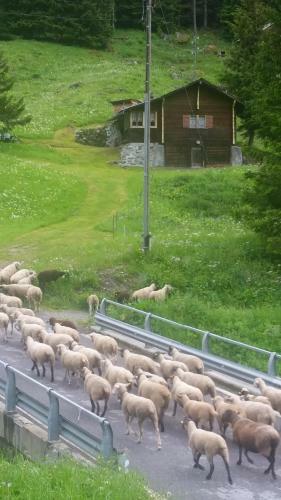 Hotel Val Des Dix
