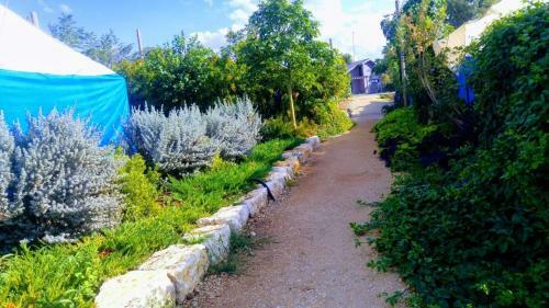 Lodge Etnahta Hazorim