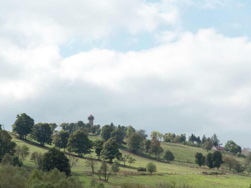 Spacious Holiday Home In Deutschneudorf In The Ore Mountains