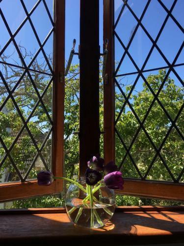Hostal Knightsbury Guest House
