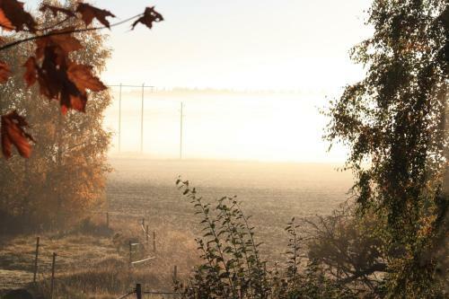 Bl�nkebo B&B