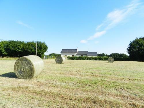 G�te La Grenouill�re
