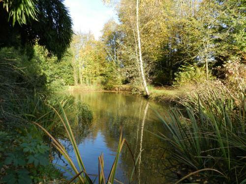 G�te La Grenouill�re