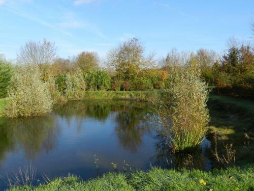 G�te La Grenouill�re