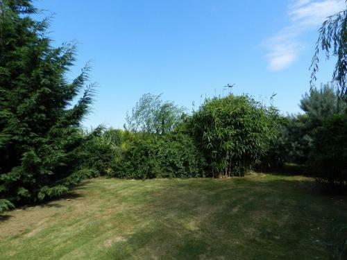 G�te La Grenouill�re