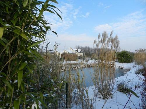 G�te La Grenouill�re