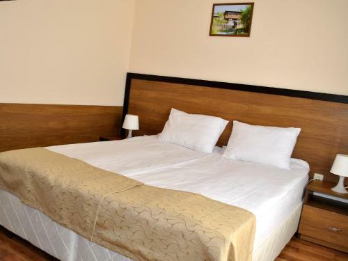 Spa Hotel Ivelia