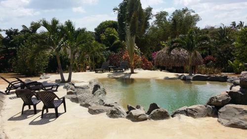 Bed & Breakfast Cabanas Los Colibris