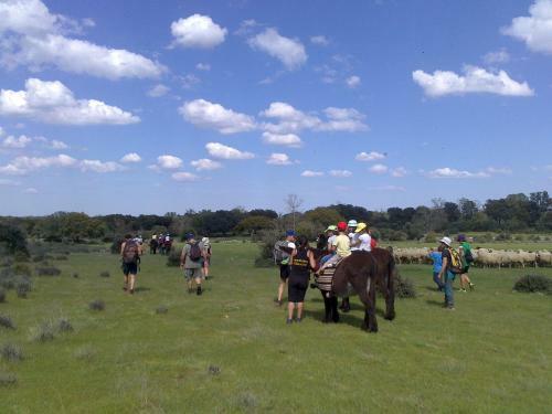 Agroturismo La Alquer�a De M�moles