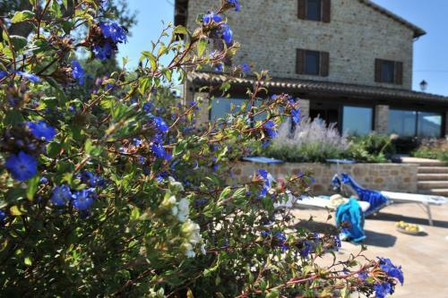Agroturismo Il Picchio Verde