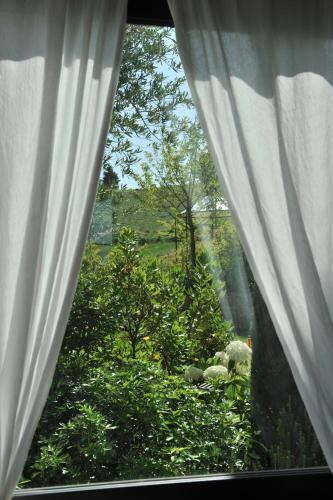 Agroturismo Il Picchio Verde