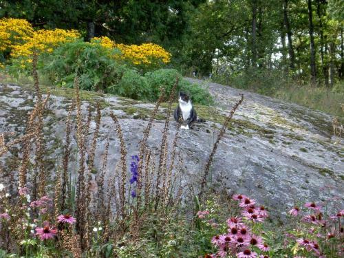 Agroturismo Stakaberg Konferens & G�rdshotell
