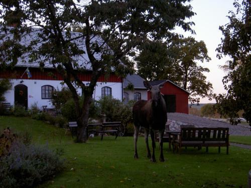 Agroturismo Stakaberg Konferens & G�rdshotell