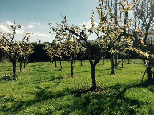 Bed & Breakfast Le Piagge