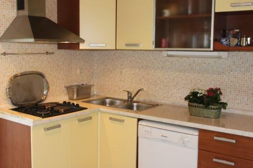 Oasis Apartments