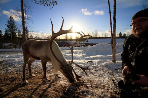 Ivalo River Camping